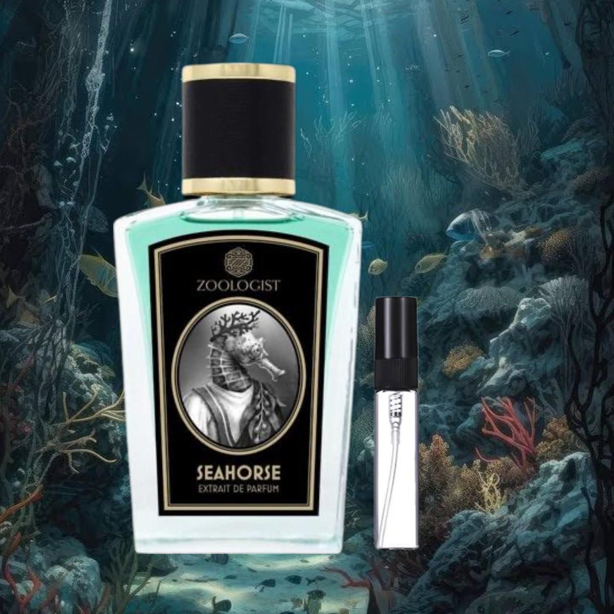 Sea Horse