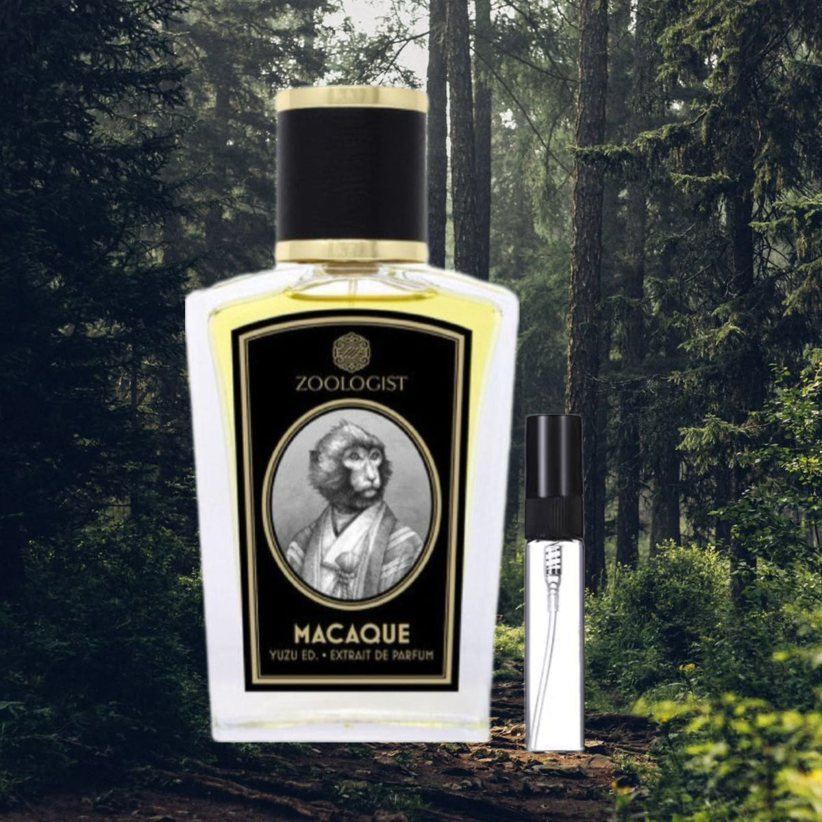 Macaque